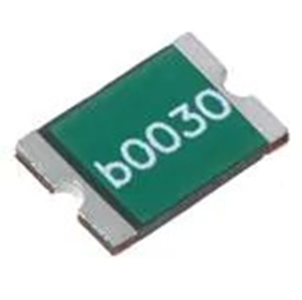 0ZCF0250FF2C Bel Fuse